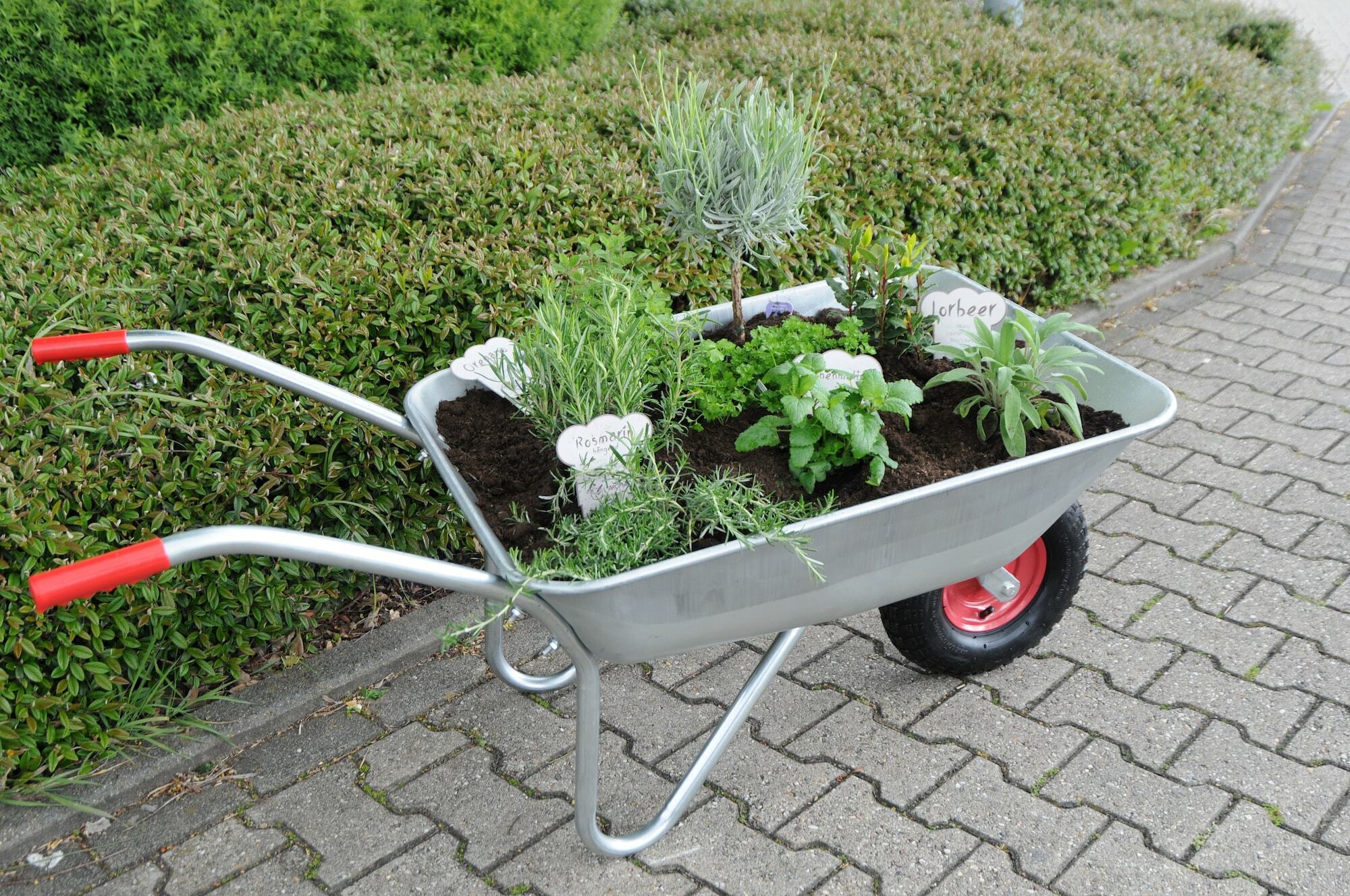 Ibis Koeln Frechen Exterior foto